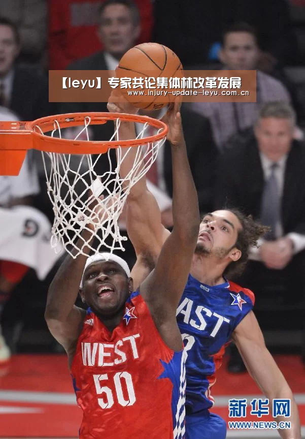 乐鱼体育网站入口