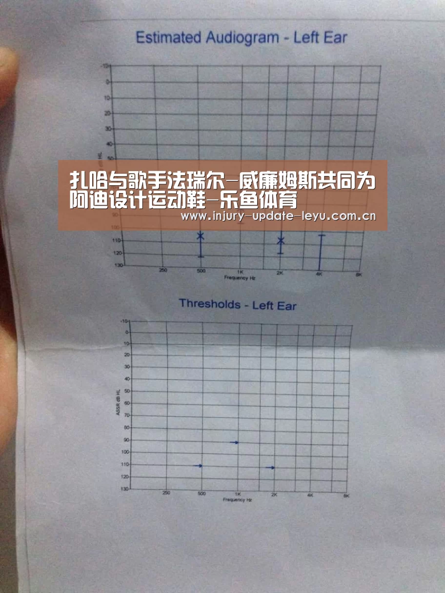 乐鱼体育